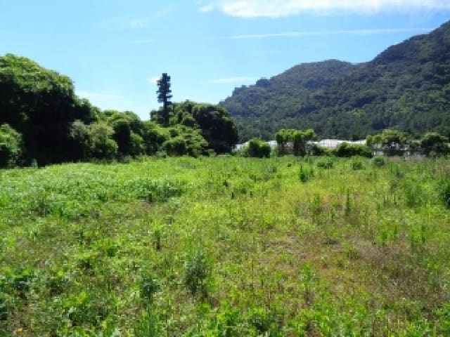 B000530202501300082701.jpg