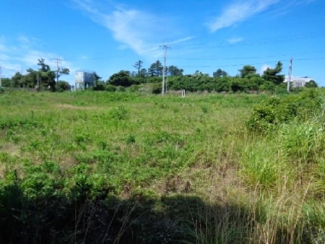 B000530202501300082703.jpg