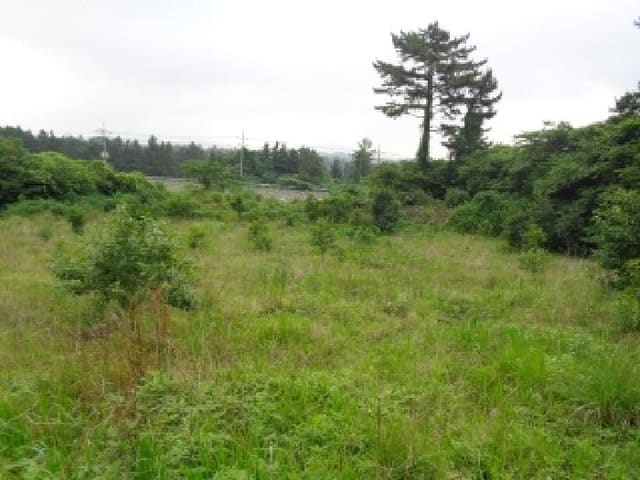 B000530202501300082843.jpg