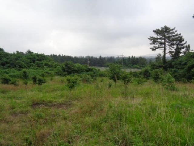 B000530202501300082842.jpg