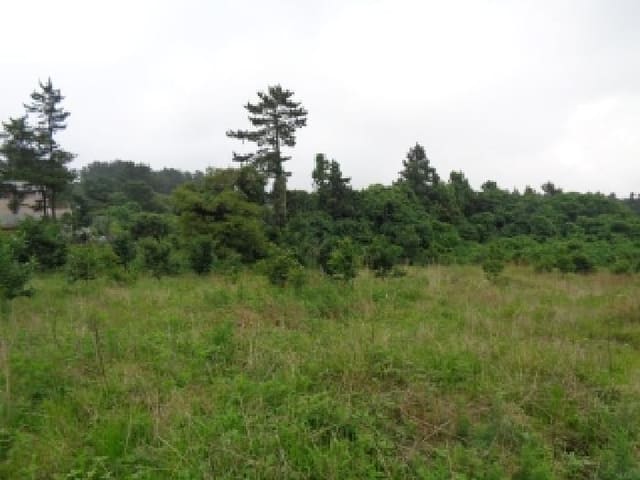 B000530202501300082841.jpg