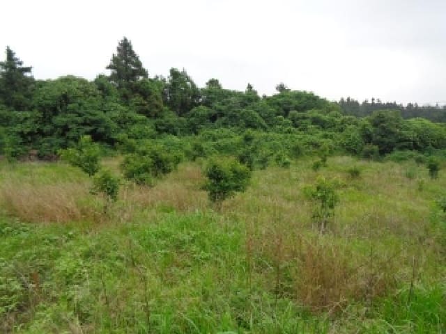 B000530202501300082844.jpg