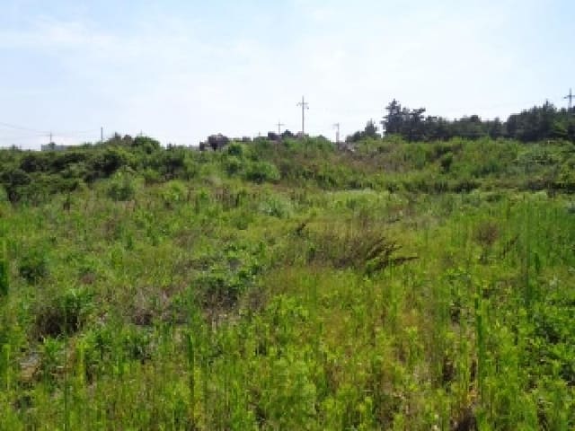 B000530202501300082922.jpg