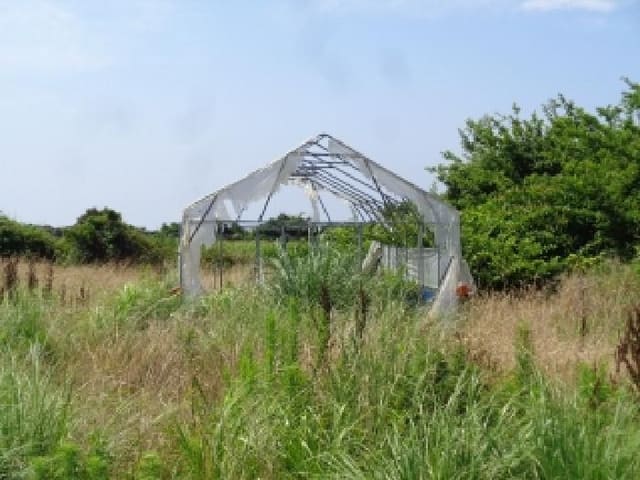 B000530202501300082923.jpg