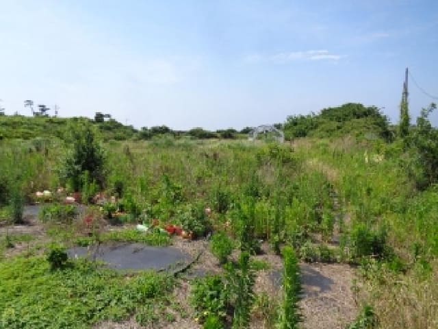 B000530202501300082921.jpg