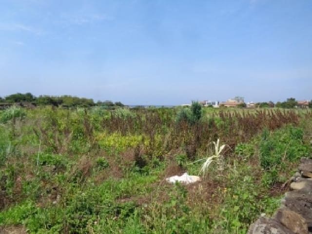 B000530202501300082934.jpg