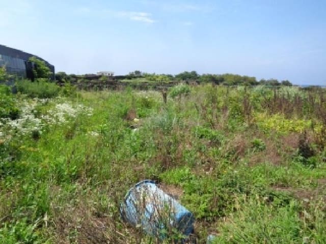 B000530202501300082933.jpg