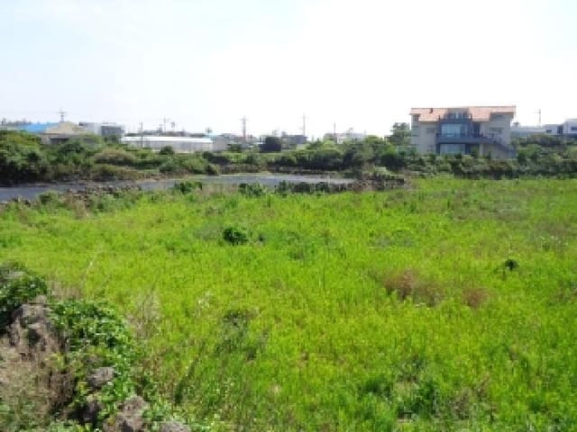 B000530202501300082931.jpg
