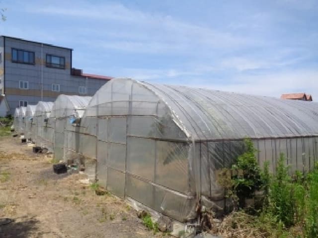 B000530202501300083131.jpg