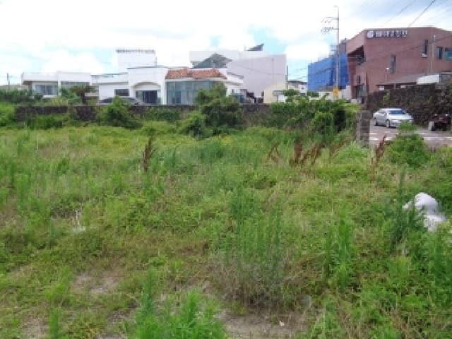 B000530202501300083143.jpg