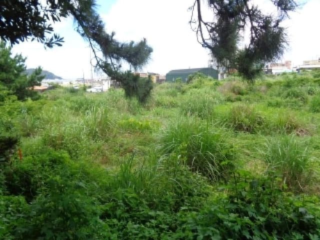 B000530202501300083141.jpg