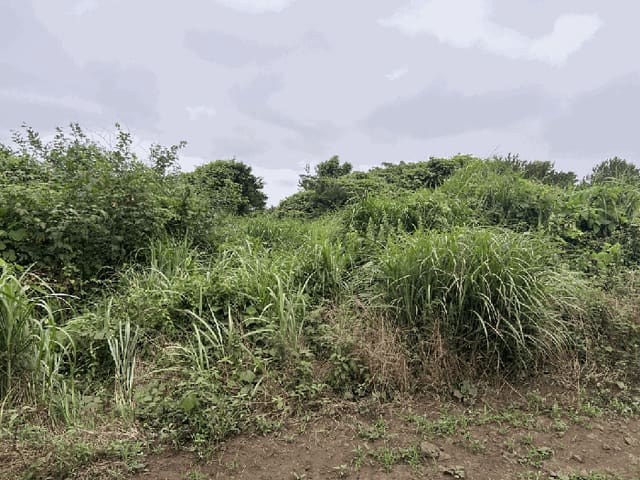 B000530202501300083212.jpg