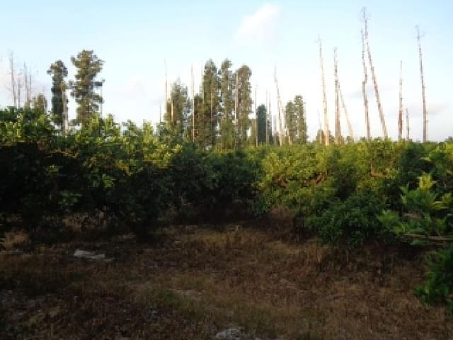 B000530202501300083263.jpg