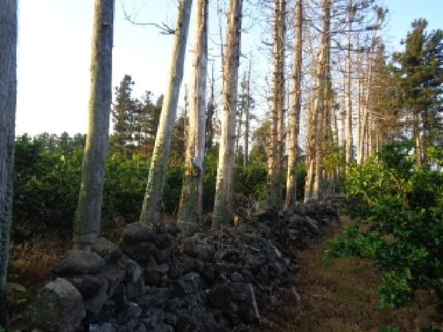 B000530202501300083264.jpg