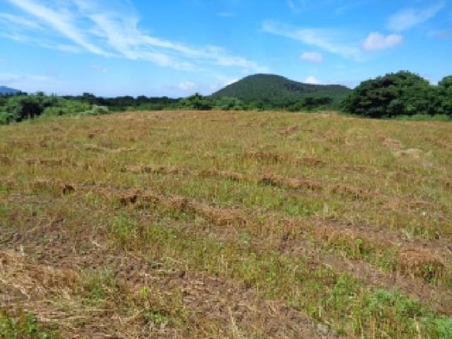 B000530202501300083271.jpg