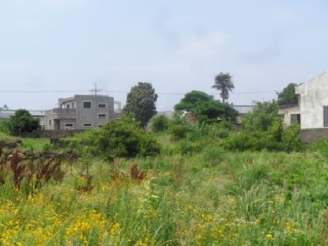B000530202501300083414.jpg