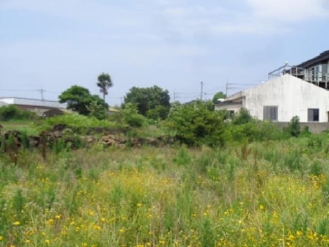 B000530202501300083413.jpg
