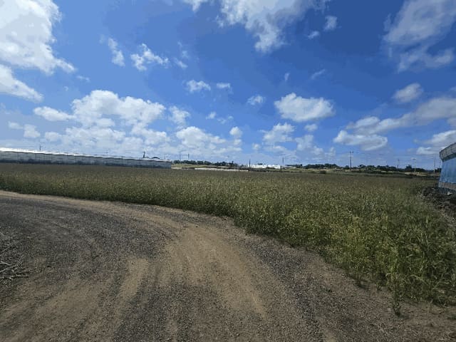 B000530202501300083494.jpg