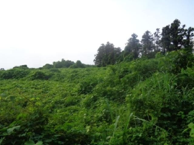 B000530202501300083752.jpg