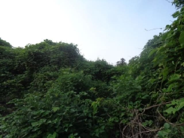 B000530202501300083754.jpg
