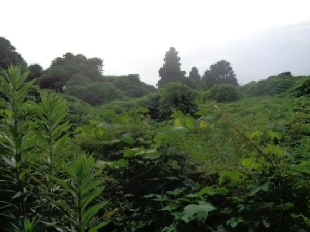 B000530202501300083753.jpg
