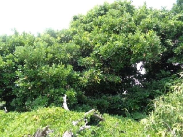 B000530202501300083763.jpg