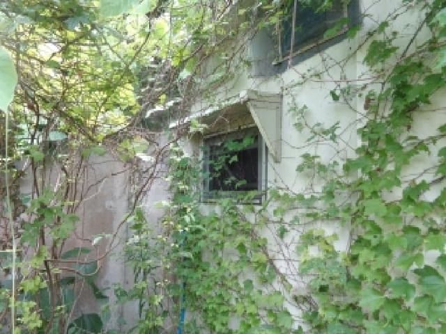 B000530202501300083764.jpg