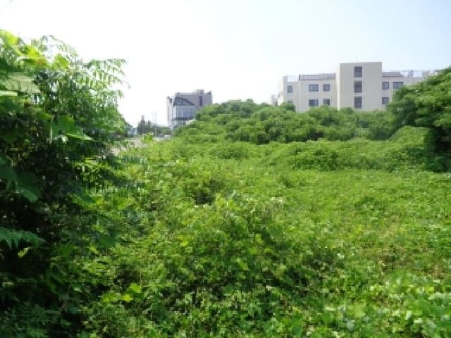 B000530202501300083771.jpg