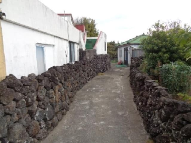 B000530202501300083821.jpg