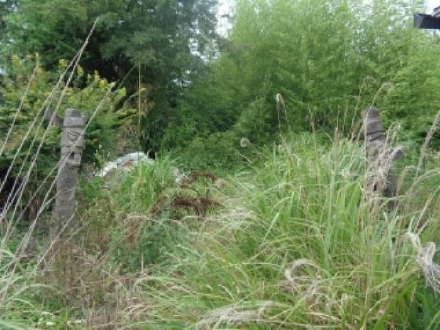 B000530202501300083894.jpg