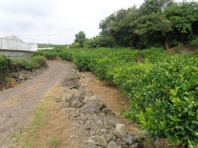 B000530202501300084073.jpg