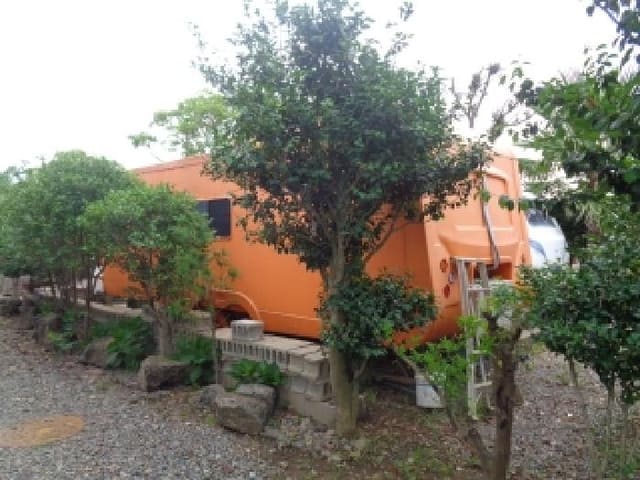 B000530202501300084382.jpg