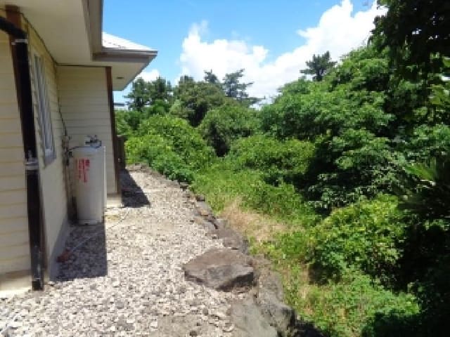 B000530202501300084402.jpg