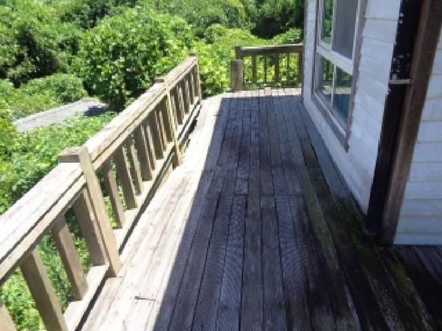 B000530202501300084404.jpg