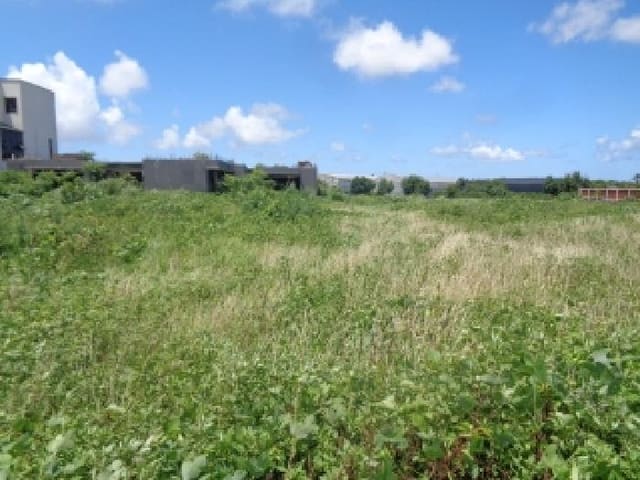 B000530202501300084484.jpg