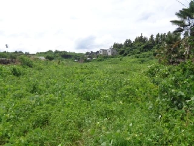 B000530202501300084914.jpg