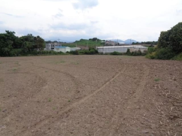 B000530202501300084922.jpg