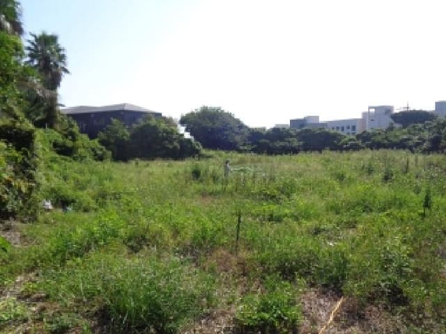 B000530202501300085003.jpg