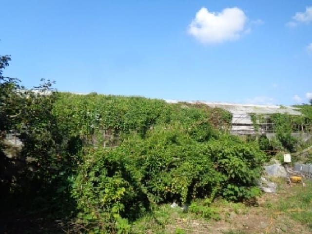 B000530202501300085001.jpg