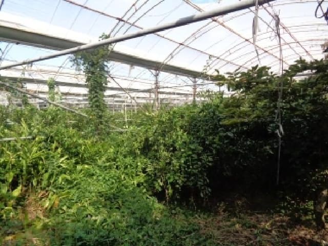 B000530202501300085002.jpg