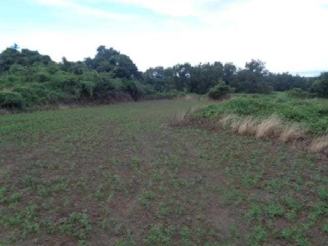 B000530202501300085104.jpg
