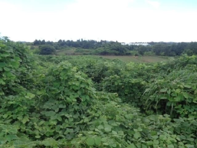 B000530202501300085101.jpg
