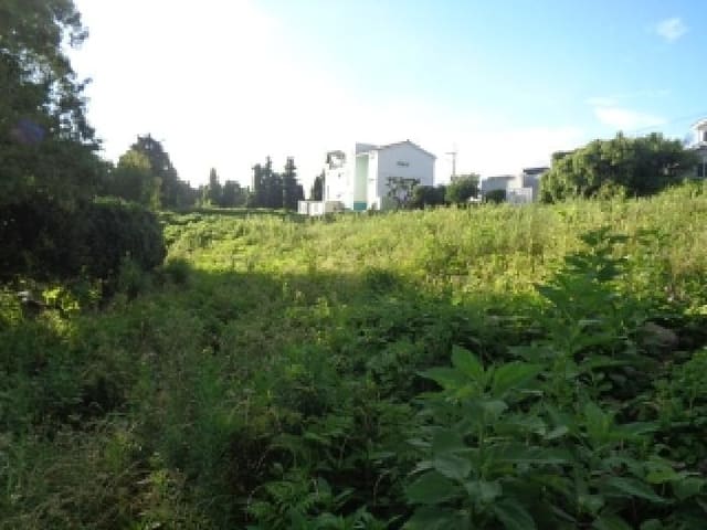 B000530202501300085144.jpg