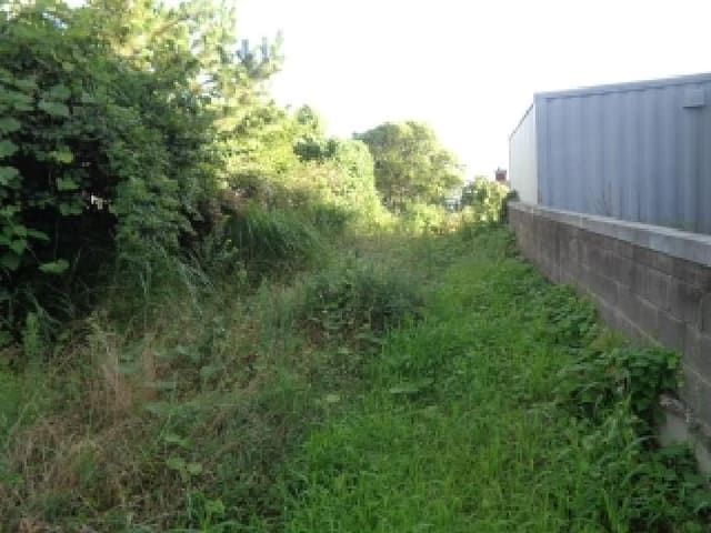 B000530202501300085141.jpg