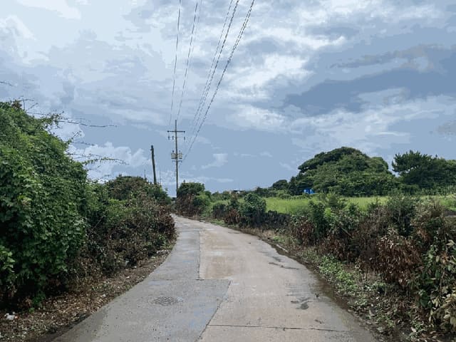 B000530202501300085304.jpg