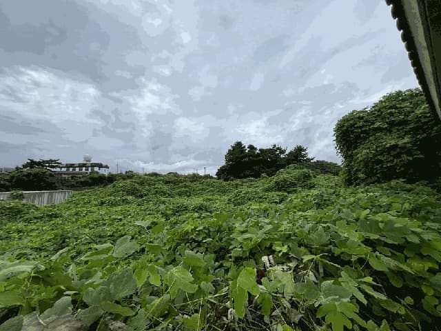 B000530202501300085301.jpg