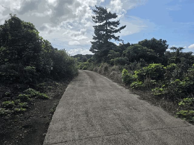 B0005302025013000855215.jpg