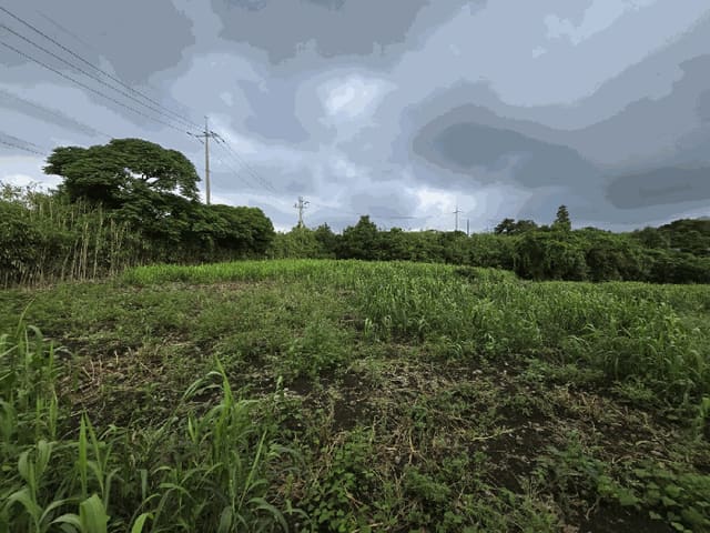B000530202501300085793.jpg
