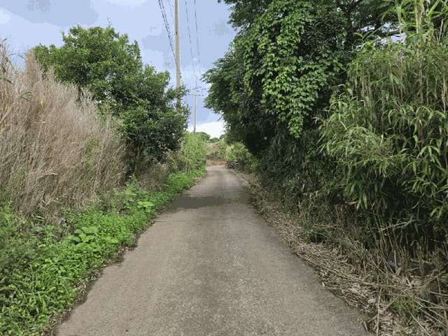 B000530202501300085794.jpg