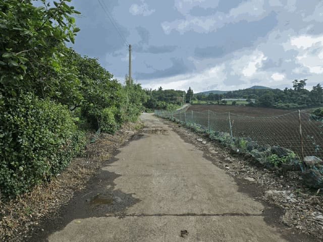 B000530202501300085792.jpg